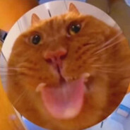 _Banjo_